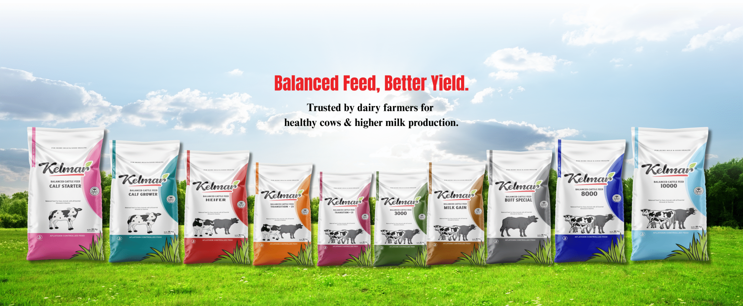 Kelmar-grid (1897 x 781 px)